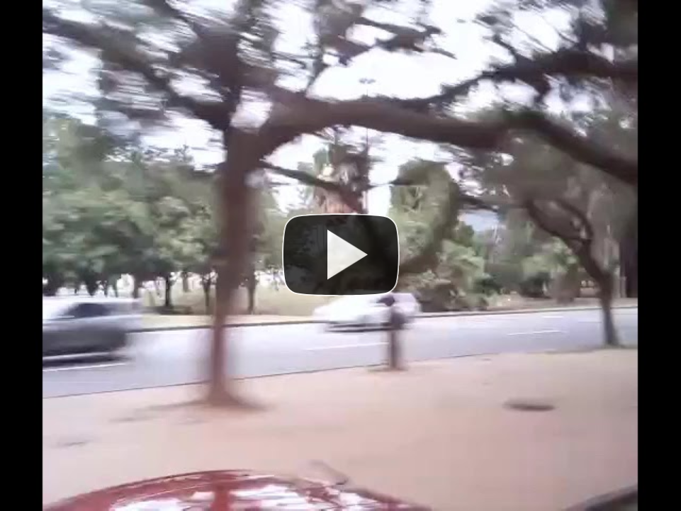 Thumbnail for the YouTube video 'some are lost some just want some peace and quiet'.